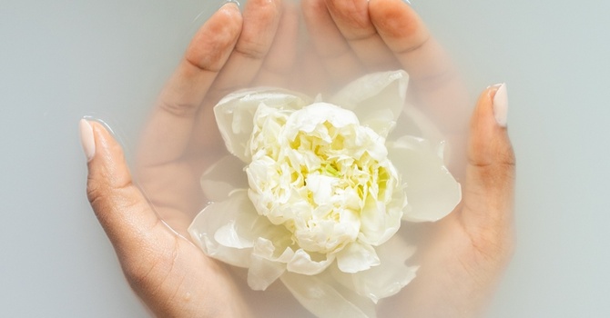 BUY 3 DRIPS, GET 1 FREE! SAVE UP TO $195 WITH OUR IV SUBSCRIPTIONS image