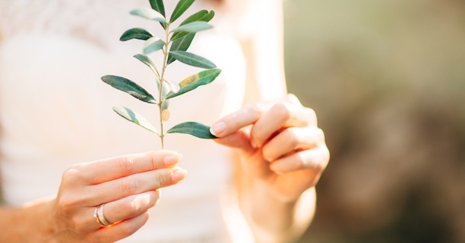 BUY 3 DRIPS, GET 1 FREE! SAVE UP TO $195 WITH OUR IV SUBSCRIPTIONS image